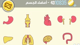 كلمات كراش مرحلة 43 حل كلمات كراش ٤٣