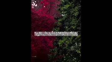 إِنَّ اللَّهَ وَمَلَائِكَتَهُ يُصَلُّونَ عَلَى النَّبِيِّ ۚ -القارئ أحمد النفيس#قران#اجر_لي_ولك