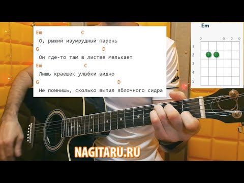Как играть Алена Швец - "Скейтер". Аккорды и разбор | Песни под гитару - Nagitaru.ru