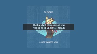 [반복재생] Openside (오픈사이드) - I just wanted you 한시간 / one hour