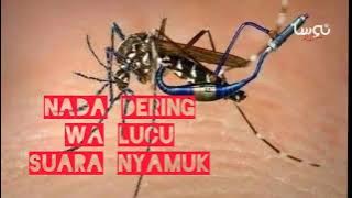 Nada dering wa lucu Suara nyamuk || Pantas aja bising pakek kenalpot racing !!!!