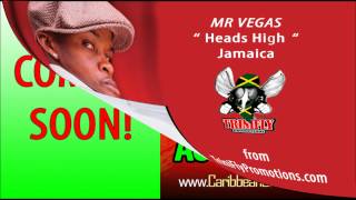 Mr Vegas -  Heads High