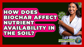 How Does Biochar Affect Nutrient Availability In The Soil? - Earth Science Answers