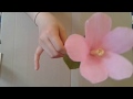 How to Make Small Rose Flower with Paper Making Paper Flowers Step by Step