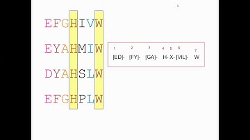 Part 1: Patterns and Profiles in Bioinformatics (Dr. Kamran Azim)
