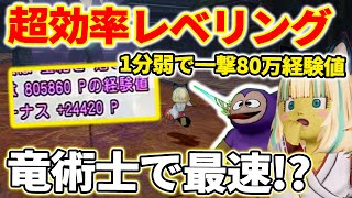 ドラクエ10 Ver7の超絶効率的なレベル上げ方法を解説！竜術士だけでなくその他職業でも可能!?