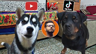 YOUTUBE vs Tik Tok || Roxy Vs Cheeni || Cheeni ki Voice 😍 || Dog can talk part 30 || Review reloaded