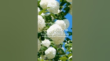 (الحج أشهر معلومات) سورة البقرة