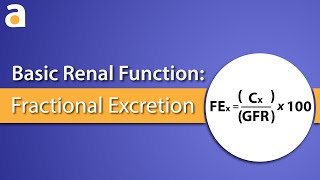 Basic Renal Function Fractional Excretion