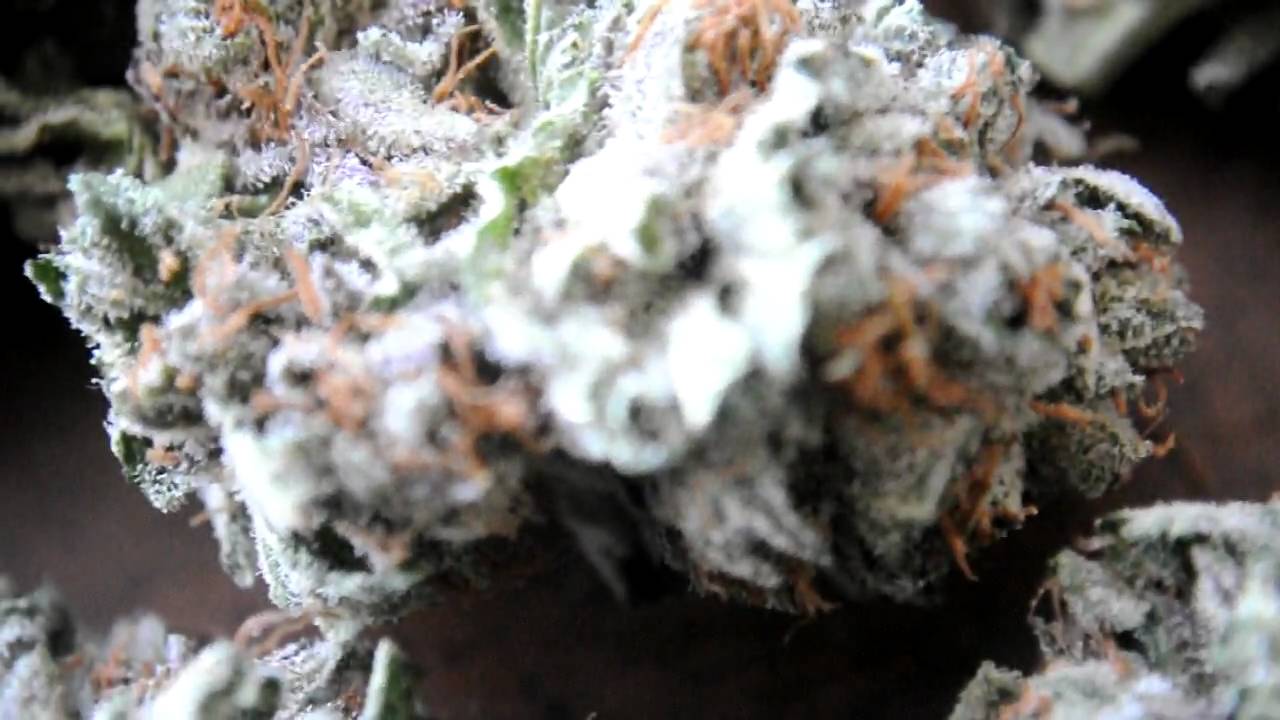 BUBBA KUSH NUGS - HD