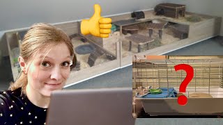 Reacting to my Subscribers Guinea Pig Cages Part 2