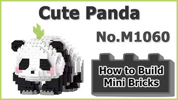 How to Build Mini Blocks Panda M1060 Review Instructions Specifications