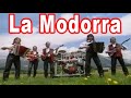 Palemiger Spatzen - la Modorra