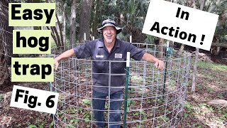 Easy figure 6 hog trap (in action)