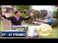 Watch Dilli Walay Dularay Babu Episode 87 ( Promo) - ARY Digital Drama Online In Hd
