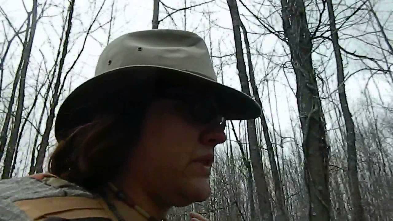 critters attack A Stroll in the Woods - Episode 2 - Part 1