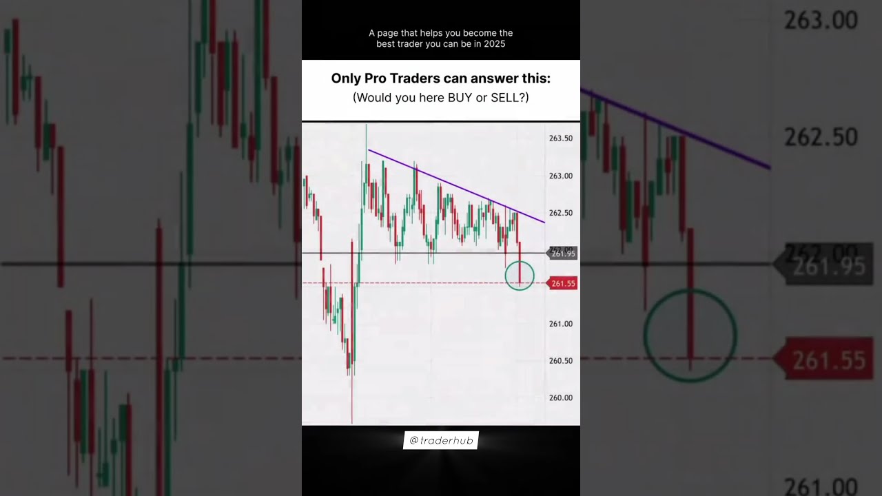 Only Pro Traders Can Answer Trading Cripto Stockmarket