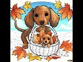 Big Happiness in a Small Basket  Dachshund Puppy | 2K