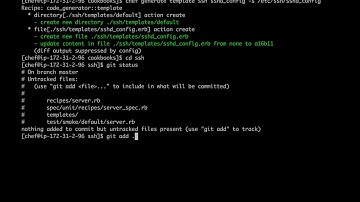 Generate a Cookbook with Chef