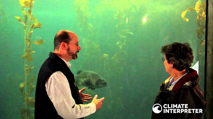 Interpretive Techniques: Self Referencing