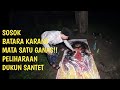 [LIVE]HAJAR BUTO IJO||DUKUN SANTET DISIKSA WARGA&DIRUSAK RUMAHNYA