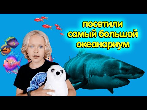 Видео: Океанариум гэж юу вэ?