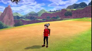 Wild Areas in Pokémon Sword & Shield