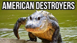 3 American Animals That Would Destroy European Ecosystems