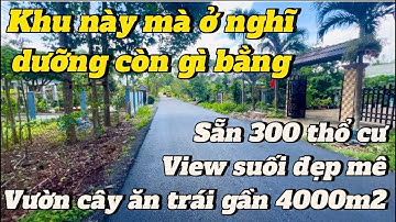 VIEW SUỐI VƯỜN TRÁI CÂY MÊ VỚI MẢNH VƯỜN NÀY QUÁ. chị ngọc định cư nên cần bán lại.