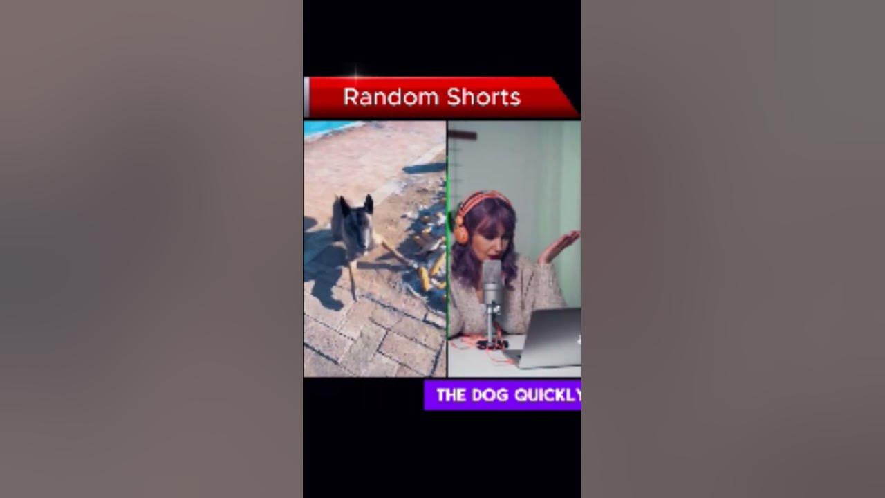 Incredible Dog Helps Blind Child | Emotional Short Story#short#shortvideo #shortsfeed