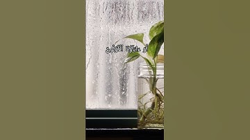 أكمل سورة الصافات #المصحف