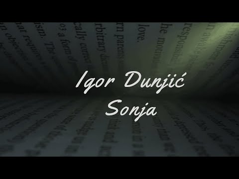 Igor Dunjić - Sonja (Prvi Sneg) (Official lyric video)