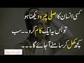 Urdu Sad Quotations| Sad Hindi Quotes| Quotes in Urdu| Best Urdu Quotes| Sad Love Quotes| Urdu Aqwal