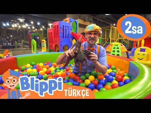 Blippi Kapalı Oyun