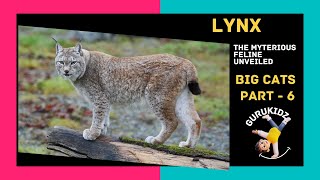 ☆ Canadian lynx therian ☆  Cat background, Lynx, Maybe in another life