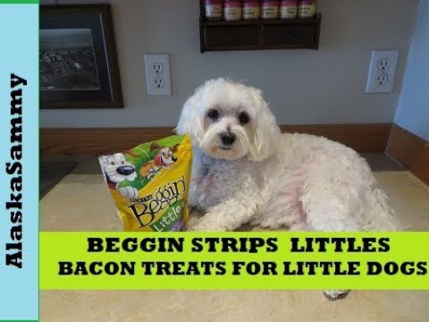 Beggin Strips Beggin Little Dog Treats Review by Purina