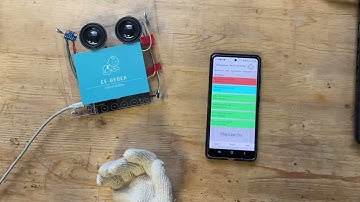 EE Capstone Project Final Video - EE-Bebek