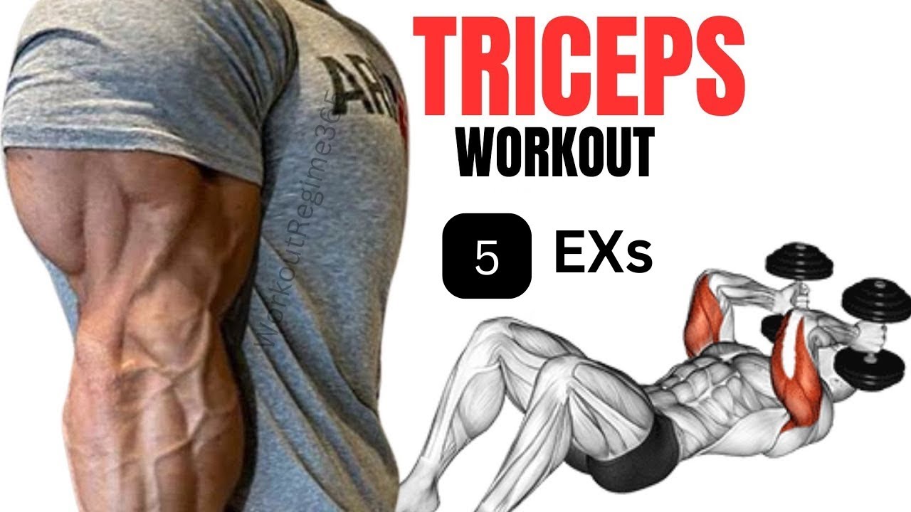5 Best Exercises To Get Big Triceps Workout - 5 EXs - YouTube