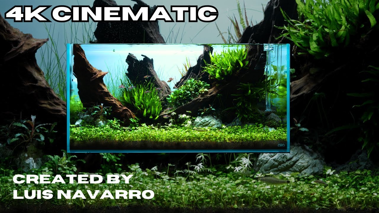 ADA Cube Garden 90P (900mm) – horizon aquatics