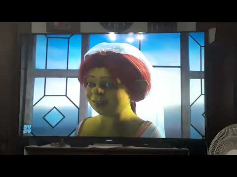 Shrek 2001 Wedding scene / Happy ending