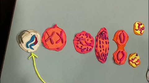 Science Ambassador Scholarship ￼2025-2026/ Genetic Mutation The Unseen Hero ￼