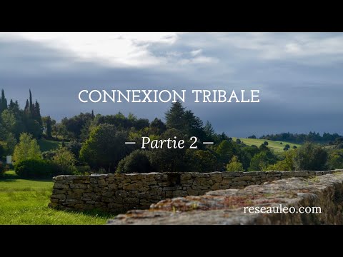 Le Réseau LEO : Connexion tribale - Partie 2