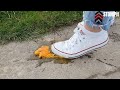 Fruits Crush In Converse Sneaker Fruits Crush In Converse Sneaker