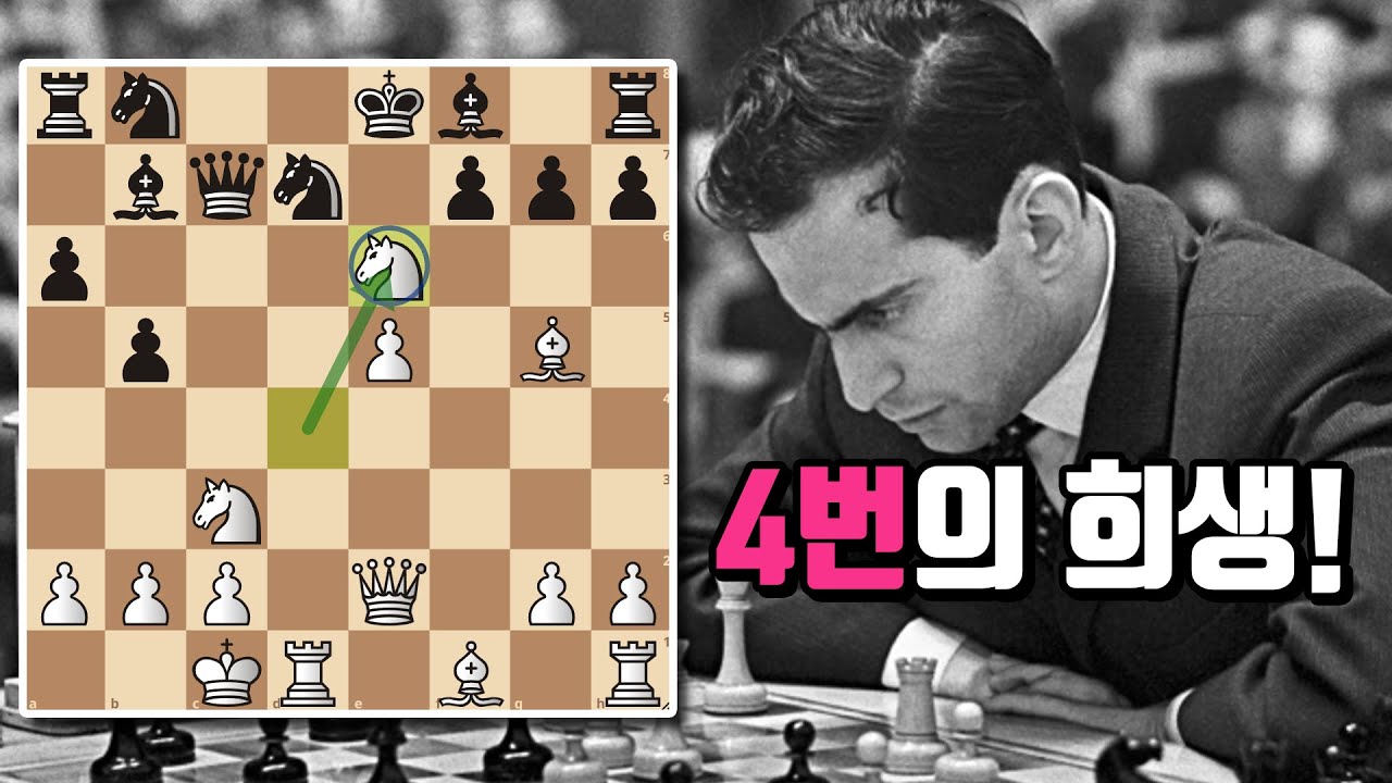 [체잘두싶] 세계챔피언 