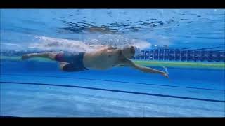 : Swimming Freestyle 05.(+slow) I Love Swimming. We are Guins. Shape of Water.