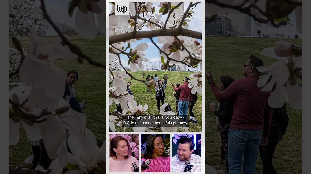 As cherry blossom blooms, Trump is changing D.C. culture