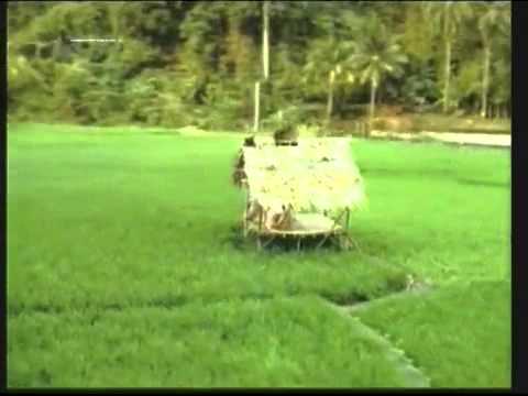 Iklan RCTI OKE Jaman  Dulu  di Sawah YouTube