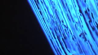 Video feedback test 2000 Profile