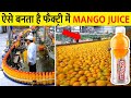   mango juice    how mango juice is produced in a factory
