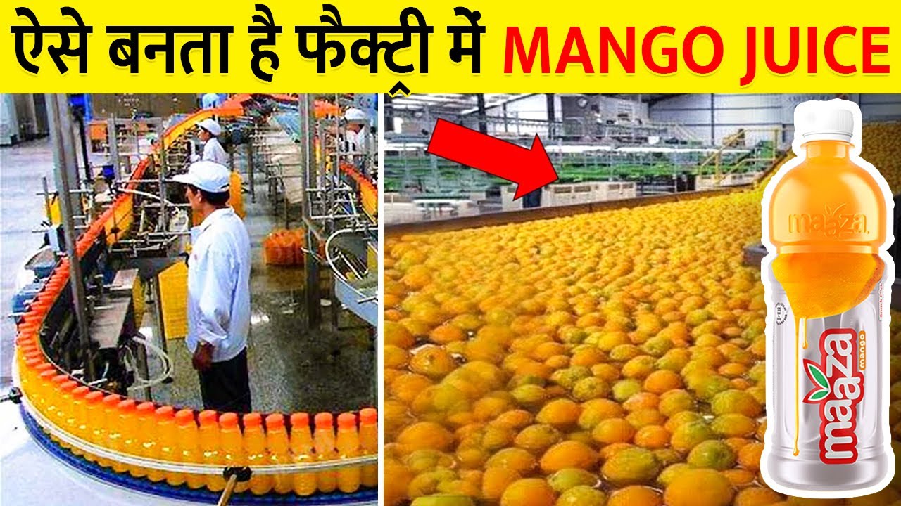 MANGO Juice How Mango Juice Is Produced In A MANGO Juice How Mango Juice Is Produced In A